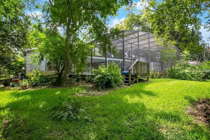Lush backyard with privacy hedge