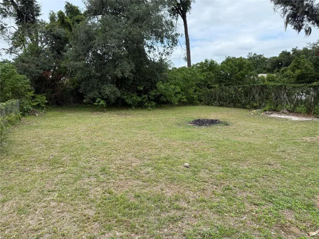 Fenced yard