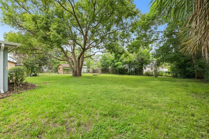 Backyard