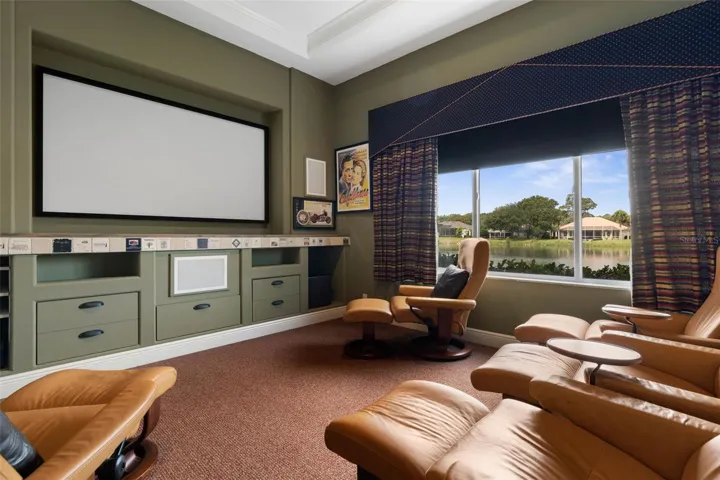 Theater or Media Room