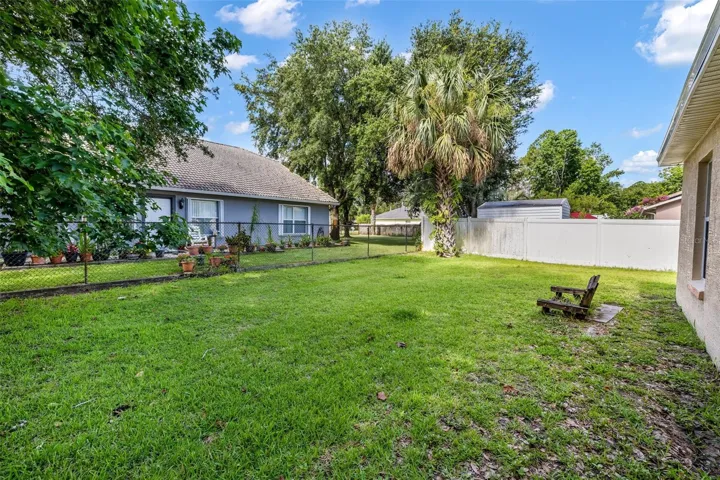 Backyard