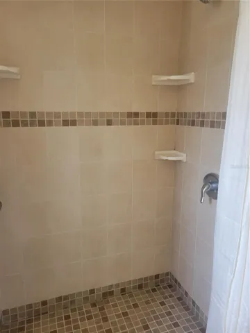 Primary bathroom shower.
