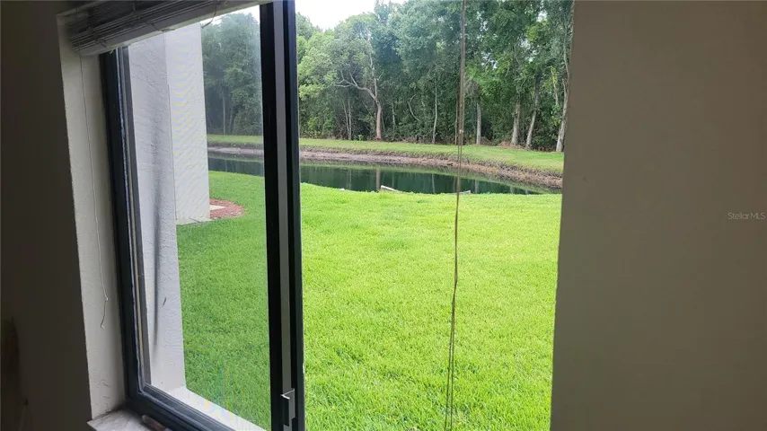 Pond view