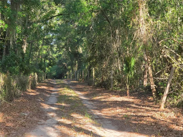Road To Property