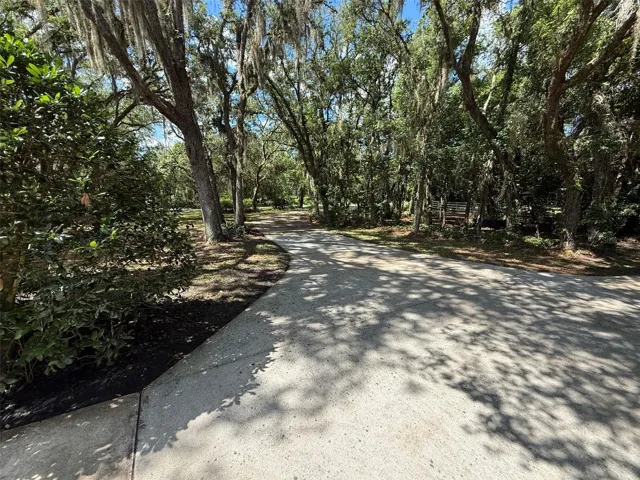 Driveway