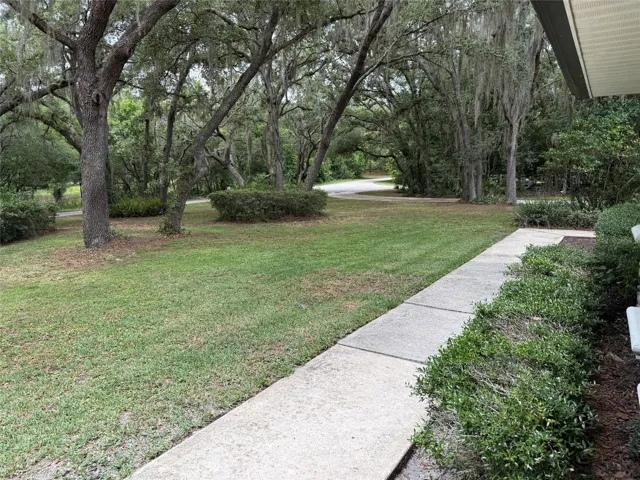 Front Yard