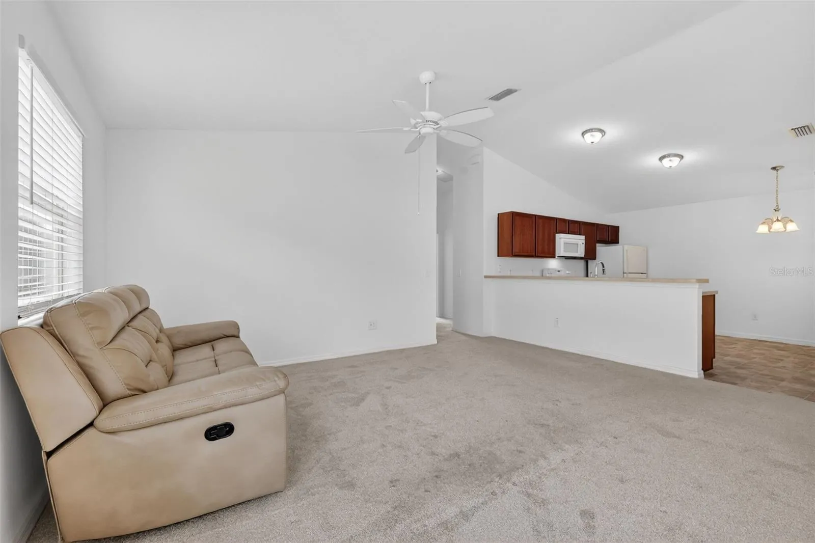 Living Room and Kitchen