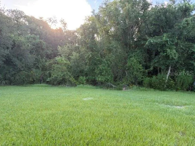 Mulberry Branch Preserve Backyard