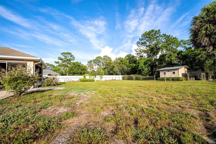 Backyard