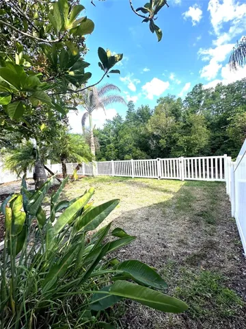 Fenced backyard