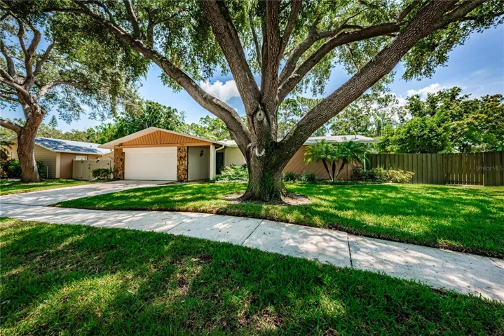 Neighborhood has sidewalks and street l ights