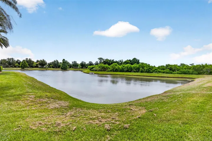 Outdoor pond with no rear neighbors.