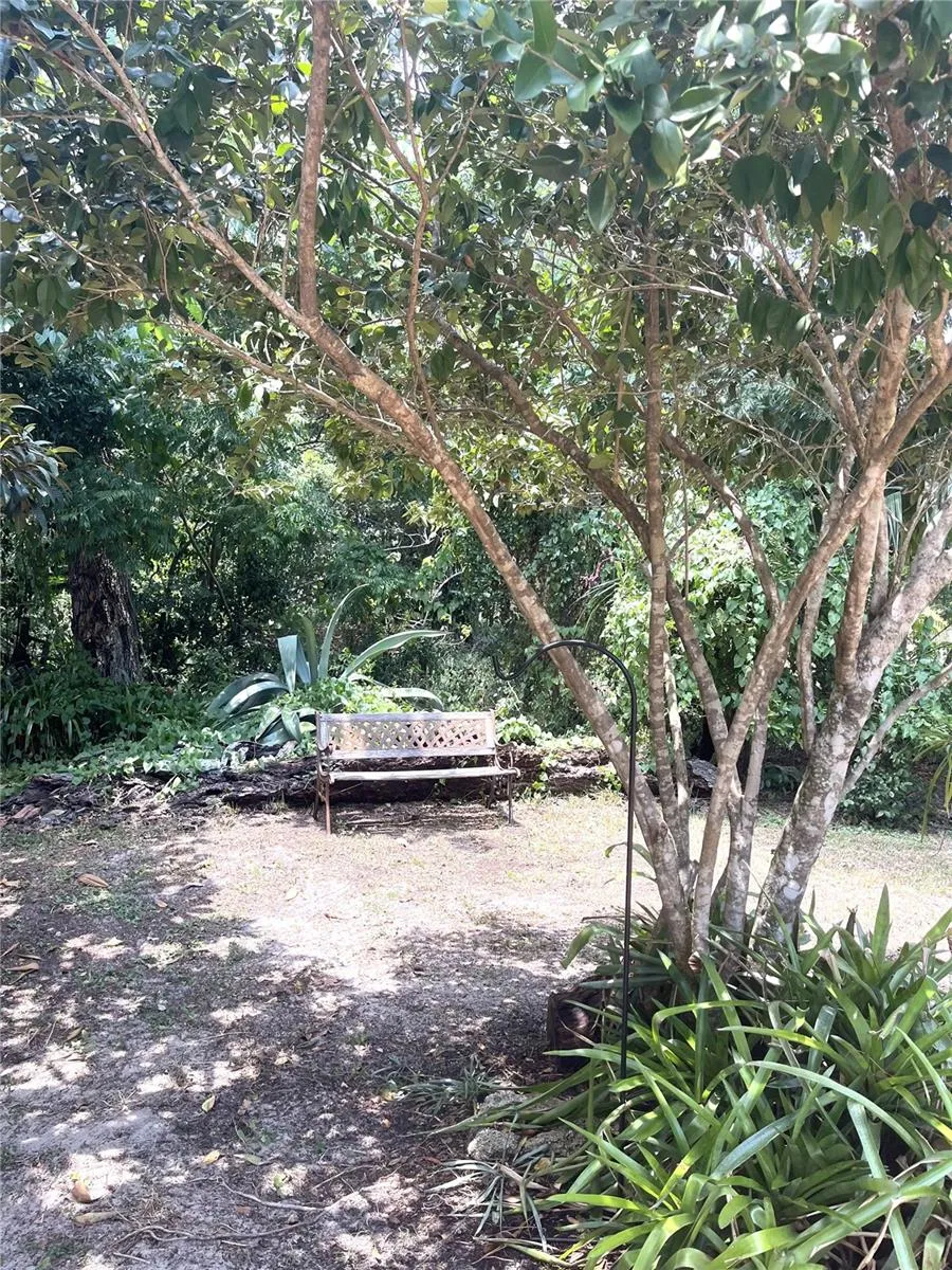 Front yard area