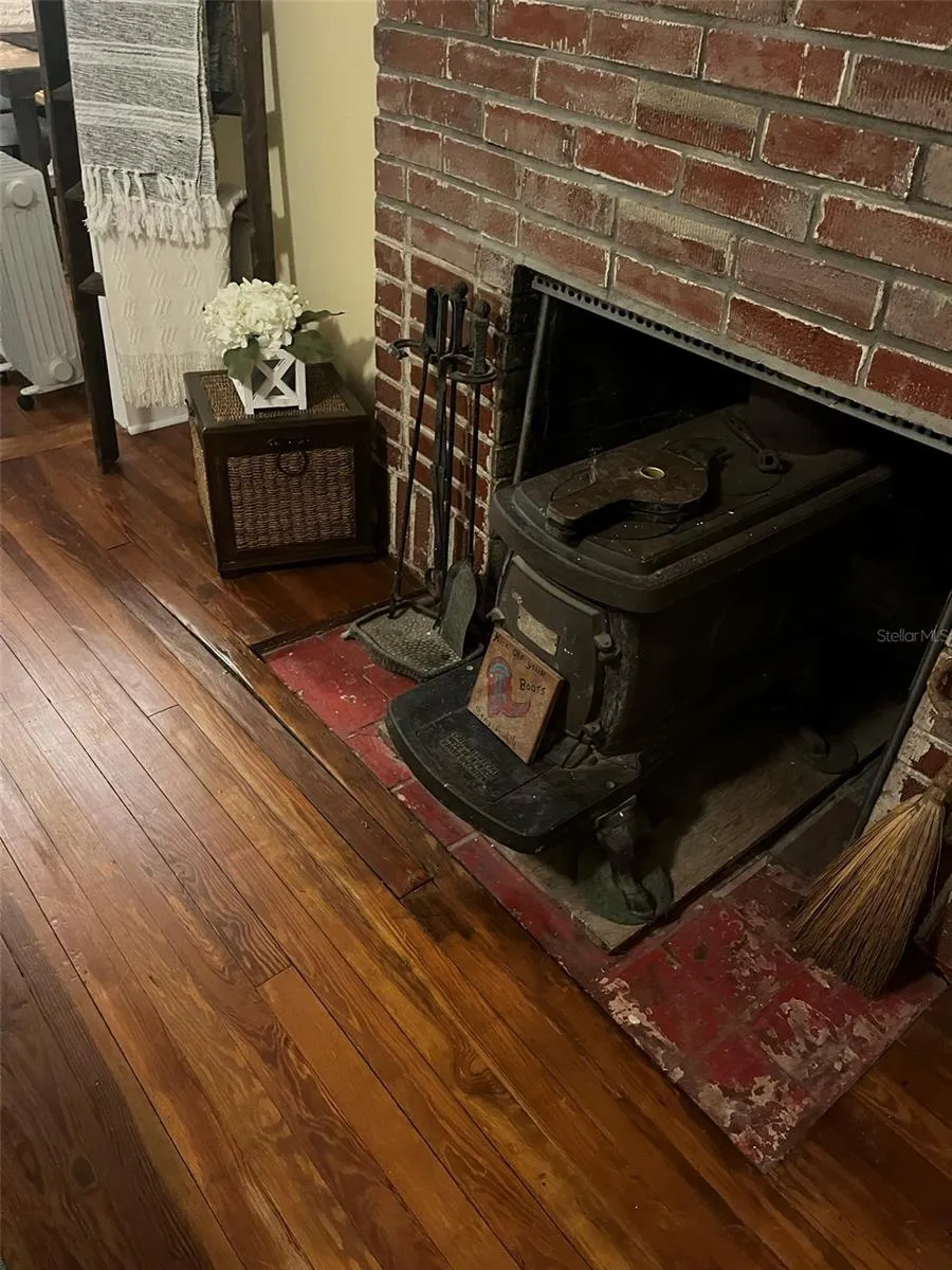 Living room fire place