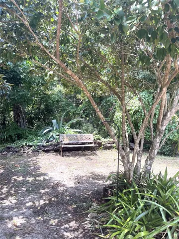 Front yard area