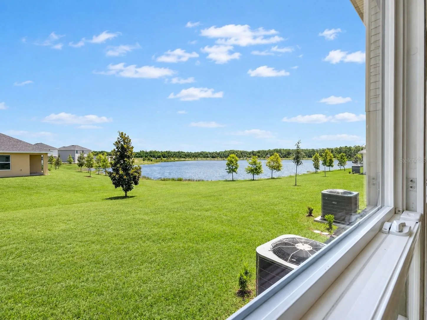 Backyard View