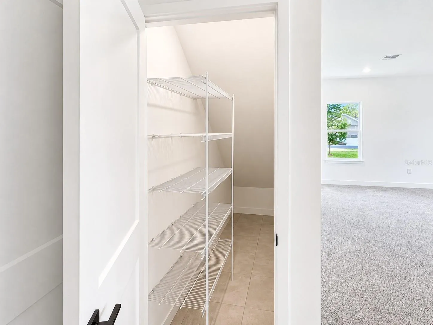 Kitchen Pantry