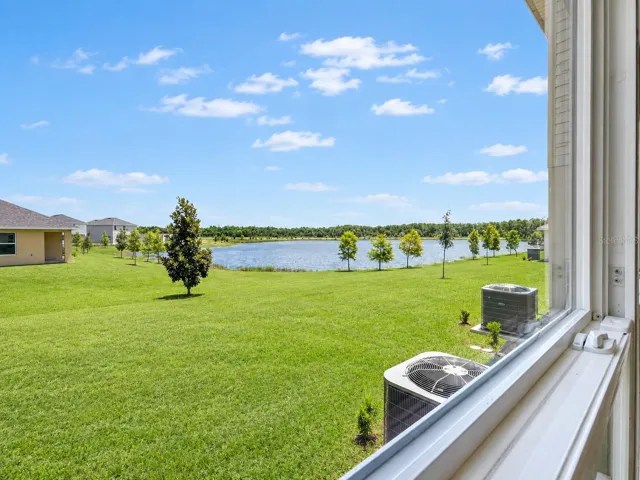 Backyard View