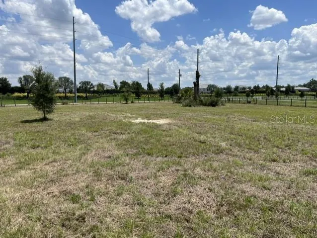 View of lot from rear