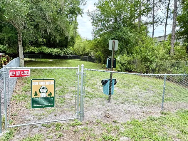 Dog Park