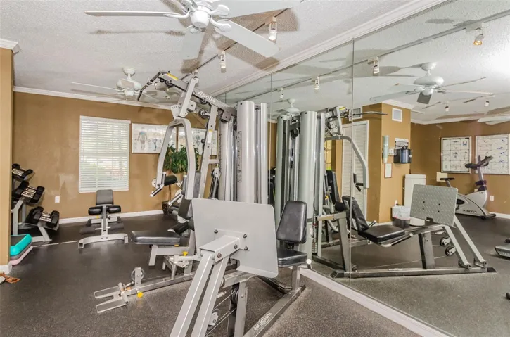 Weight and fitness room