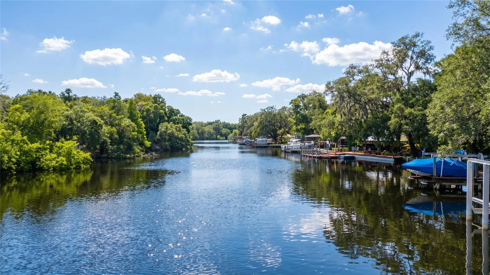 The Hillsborough River right outside your door!