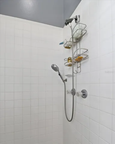 Master Bathroom w/ Tiled Shower & Handheld Showerhead