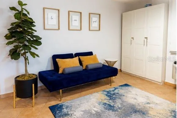 Family Room and Living Areas
