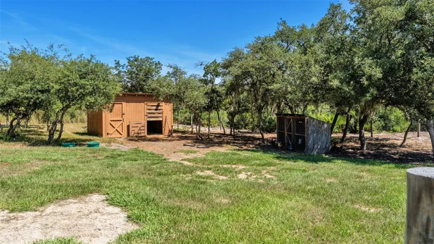 Fenced Paddock and Shed