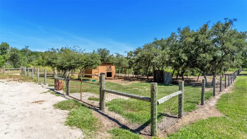 Fenced Paddock and Shed