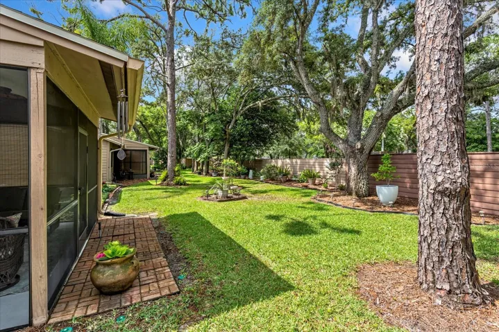 Backyard...perfect