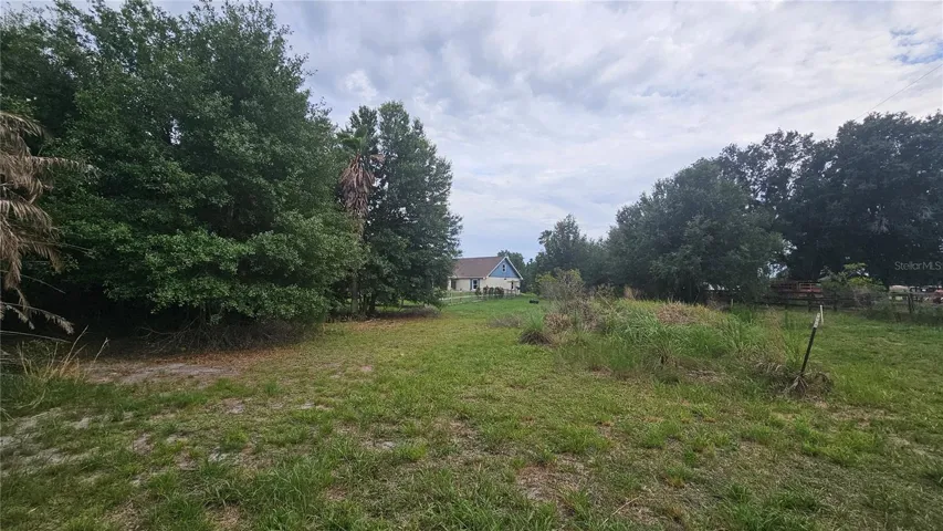 In between front yard and trees.
