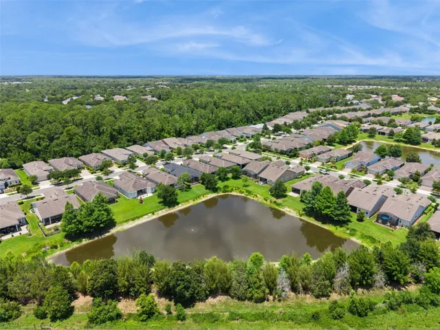 Aerial view of the Pond behind the home