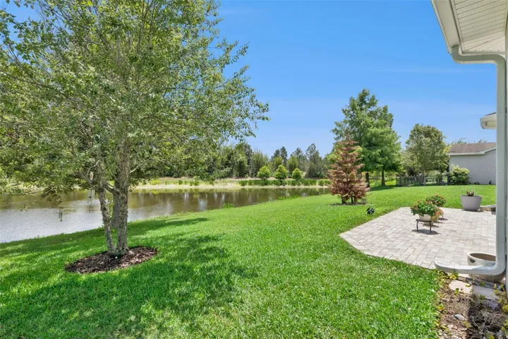 View of the Pond from the backyard