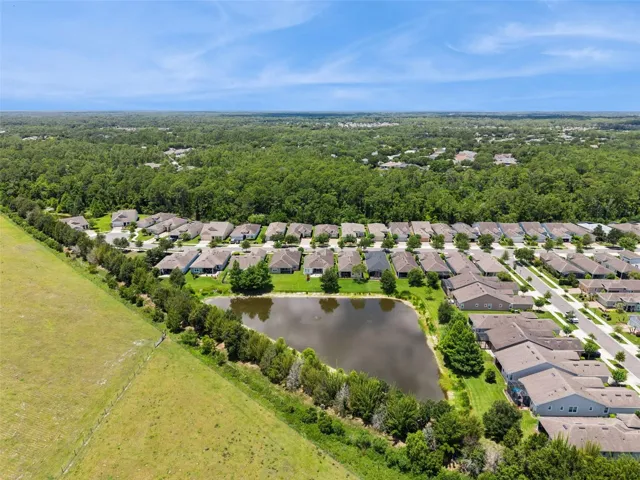 Aerial view from behind the home
