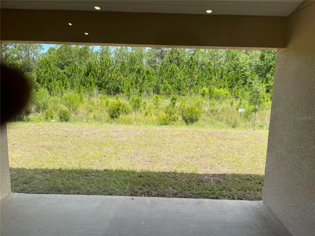 Back Yard Conservation area view