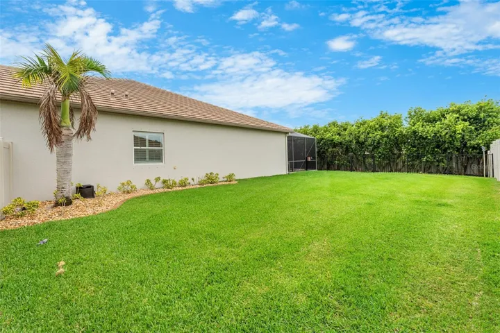 Side Yard