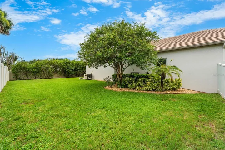 Side Yard