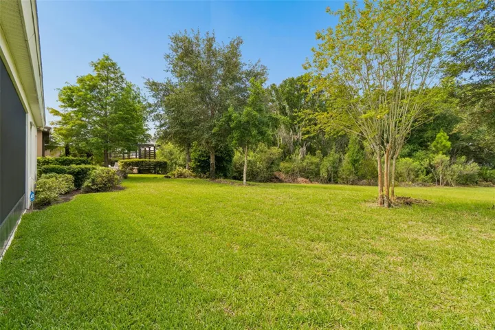 Back yard - homesite is on conservation
