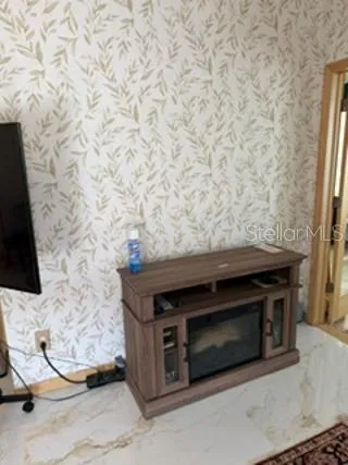 Electric Fire place