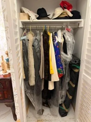 Hall Coat Closet