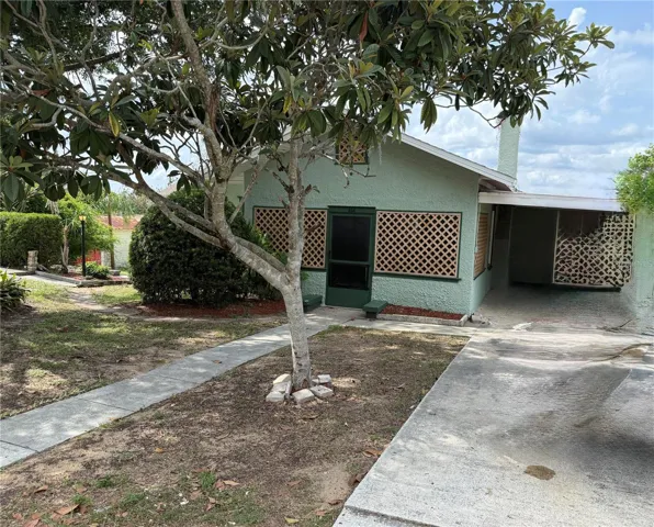 Front view