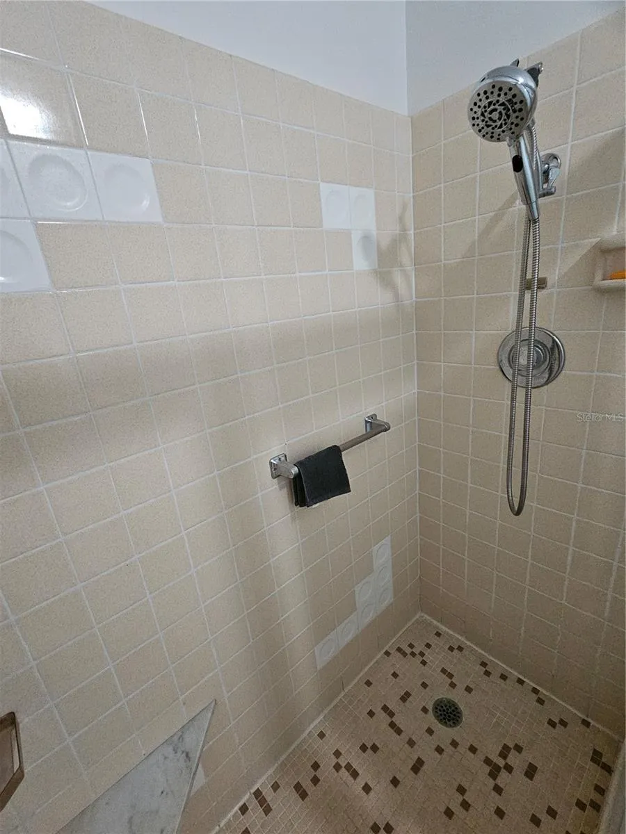 Primary Bathroom shower