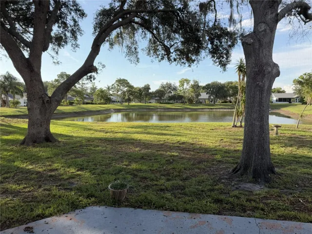 Beautiful view of pond from the screened lanai