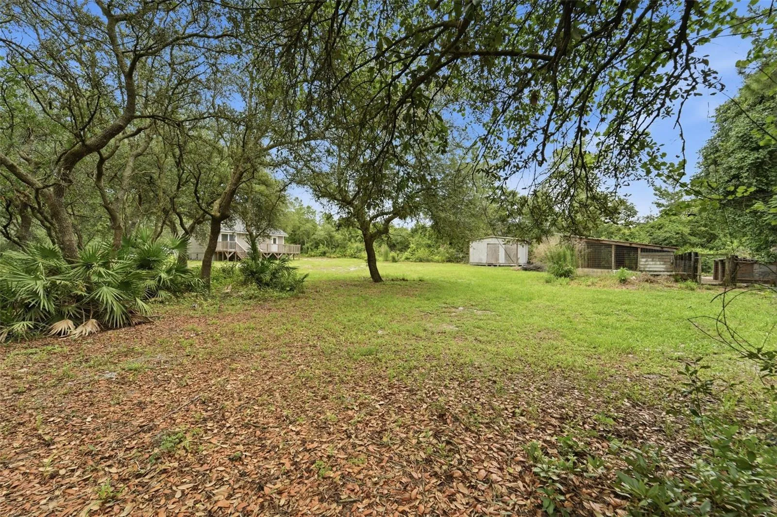 Backyard