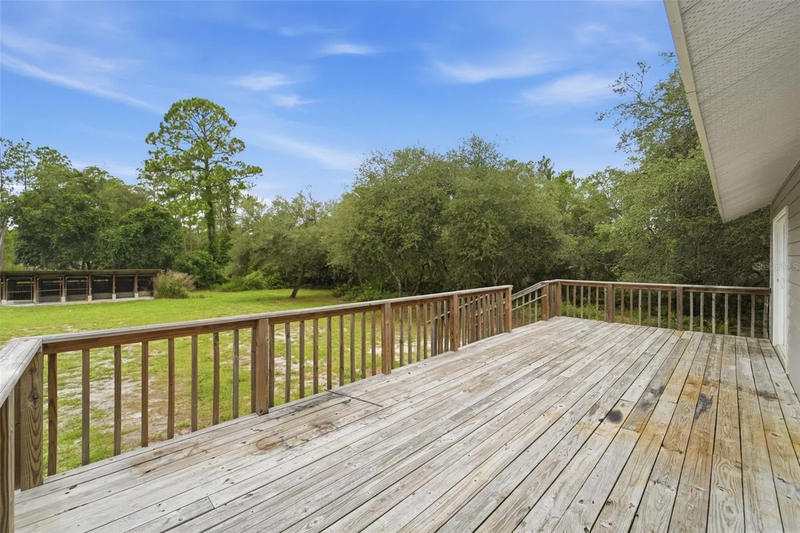 Back Porch