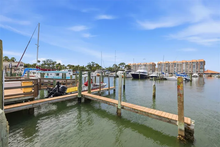Dunedin Marina