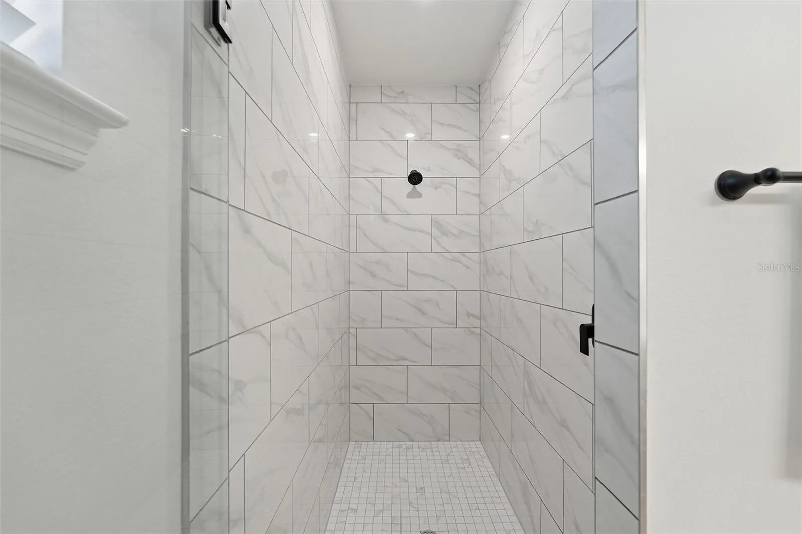 Master Shower