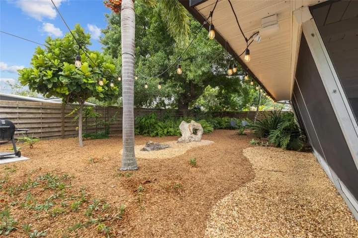 Back yard