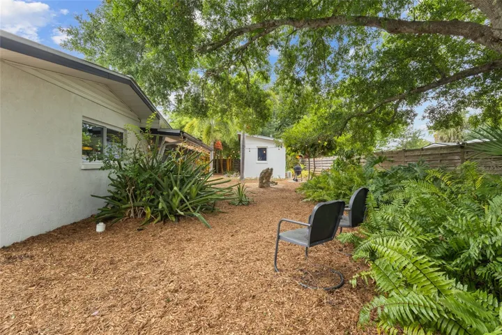 Back yard